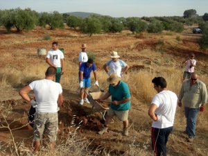 Noticia Ideal de Jaén:La búsqueda de la piedra templaria finaliza a la espera de que hable Cultura