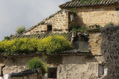 Noticia Ideal de Úbeda:Desplome de parte de una cubierta lateral de la maltrecha iglesia de San Lorenzo