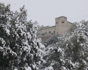 Noticia Diario Jaén:Una nevada sorprende a la primavera jiennense