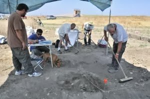 Noticia IDEAL:Forum MMX lleva a Tierra Adentro la ciudad de Cástulo en otra dimensión para el 'visitante'