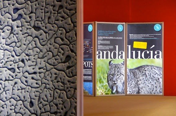 Noticia IDEAL: Una muestra acerca a los ubetenses el concepto de biodiversidad y sus implicaciones