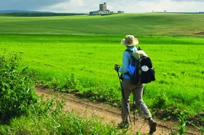 Camino del Puente de Mayo