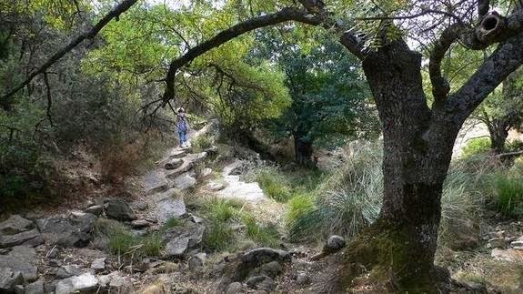 Noticia IDEAL:Despeñaperros quiere ser Dorne