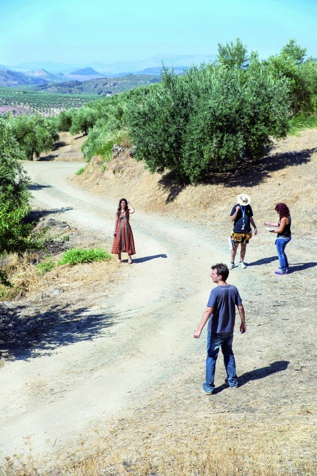 Diario Jaén:El campo jiennense es de cine