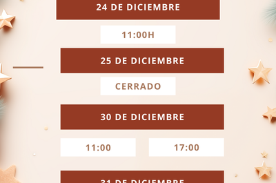 Horarios visitas guiadas Navidad 2024 - Tu visita a Úbeda y Baeza